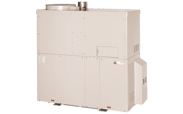 Series CP (Natural Gas)